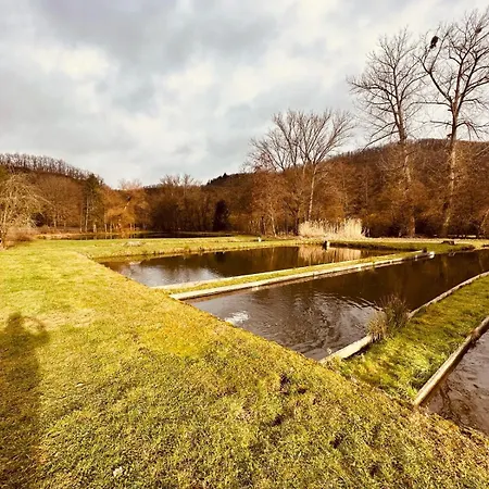 | Restaurant | Forellenzucht Hotel *