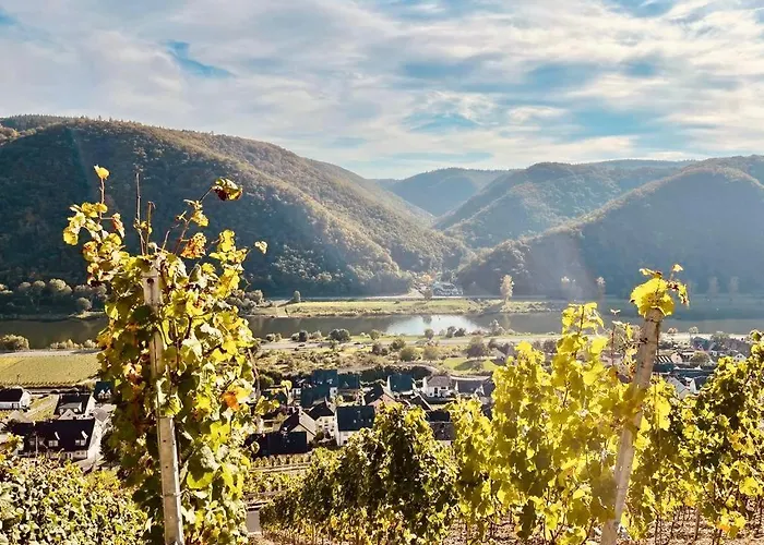 | Restaurant | Forellenzucht Hotel *